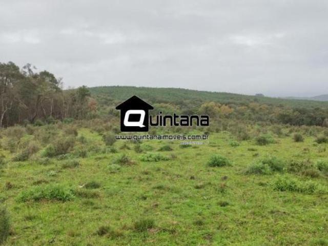 Vendo 60 hectares em Canguçu