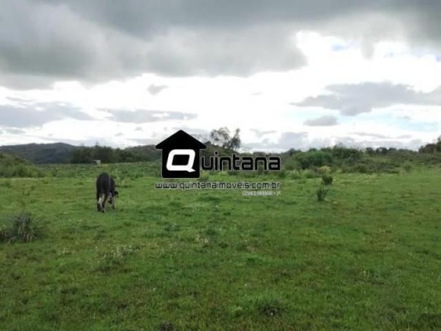 Vendo 60 hectares em Canguçu no 1 distrito