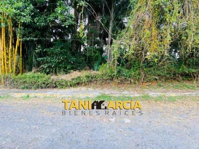 Vendo 3 Lotes de Terreno de 280 m2 en Córdoba, a 2 minutos de Plaza Cristal