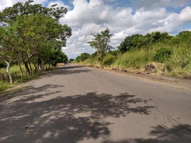 VENDO 3 Y MEDIA HECTAREAS EN SAN PANCHO 100% CULTIVABLES VERACRUZ