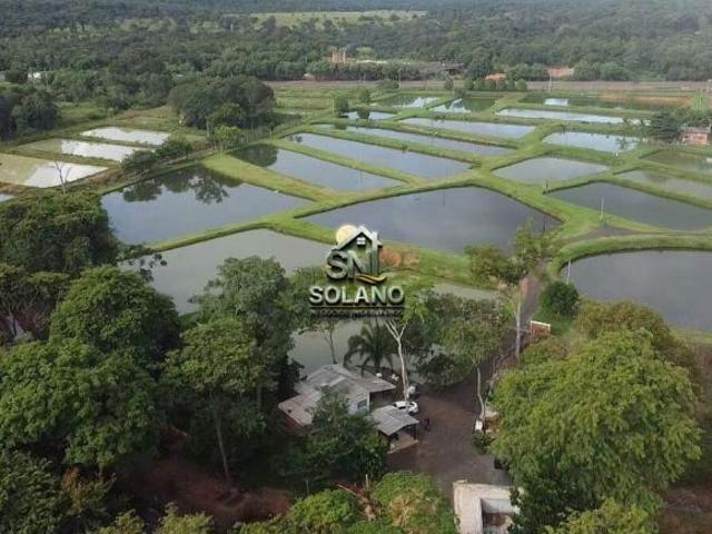 VENDO TERRA COM CRIAÇÃO DE PEIXES PRÓXIMO A NOVA OLÍMPIA MT