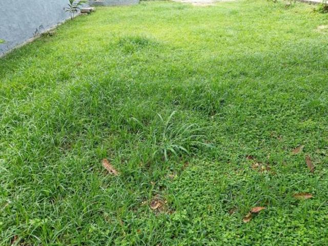 Vendo terreno no bairro Indaiá Caraguatatuba