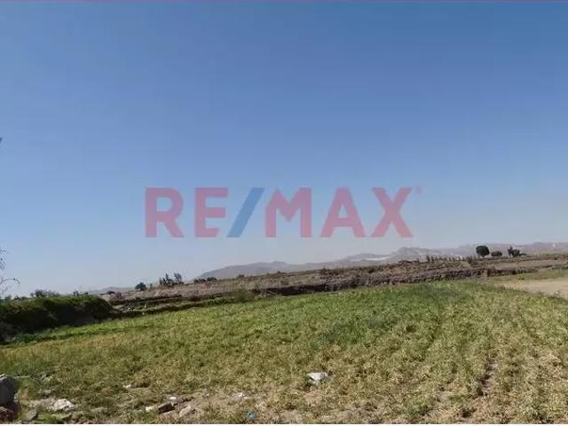 VENDO TERRENO AGRICOLA 5 HECTAREAS BAJO CURAL LATERAL 8