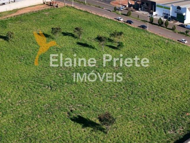 VENDO TERRENO – ÁREA DE 27.674 m² – PRÓXIMO À RODOVIA ANHANGUERA – PIRASSUNUNGA