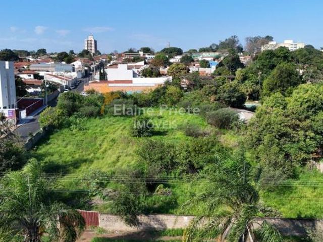 VENDO TERRENO DE ESQUINA COM 4.376,91 m² NA AVENIDA PAINGUÁS – PIRASSUNUNGA