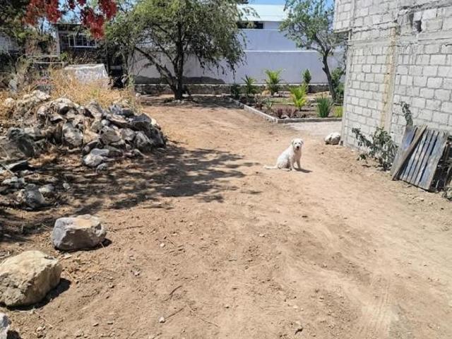 VENDO TERRENO DE 384 MTS ESCRITURADO EN CUATLA