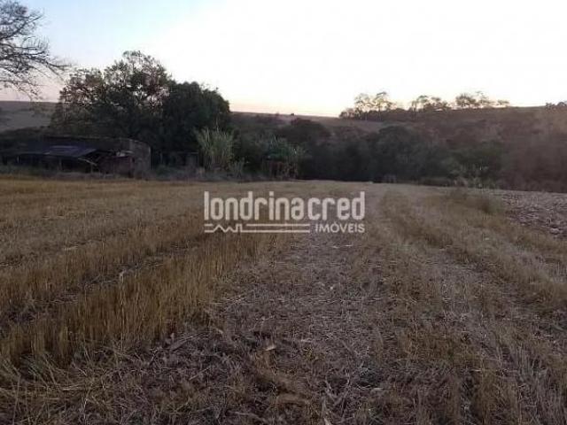 Vendo Terreno de 40.000m² Próximo a Ibiporã Ótimo para Investimento, Loteamento, Agricultura ou Chá