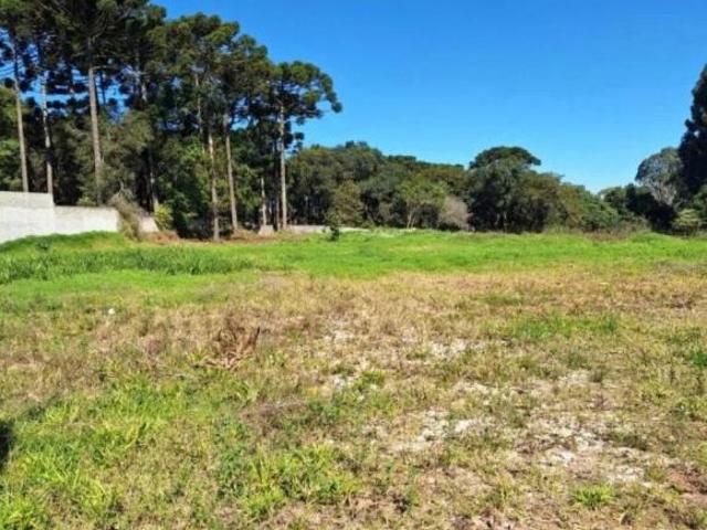 Vendo Terreno de 5544 m² à venda em Novo Mundo
