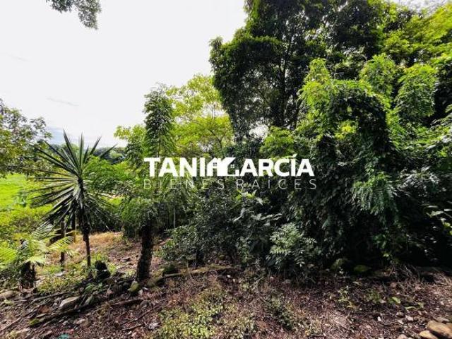 Vendo Terreno de 6,000 m2 en la Comunidad del Pochote, Yanga