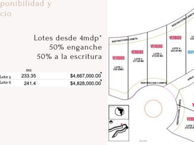 Vendo terreno en bosque real