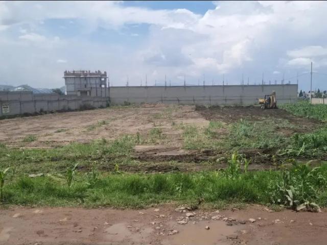 Vendo terreno en Calpulalpan Tlaxcala