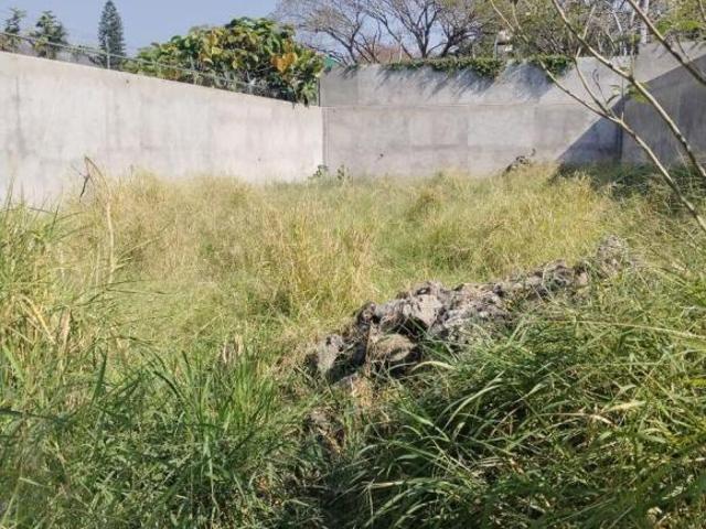 VENDO TERRENO EN EL CENTRO DE OAXTEPEC
