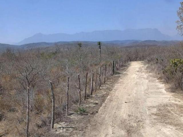 Vendo terreno en Linares 28 hectareas excelente para caceria