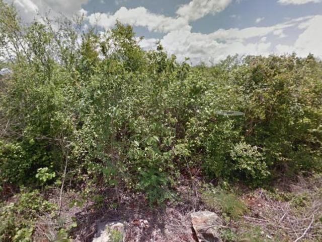 Vendo terreno en paguitos Maní, Yucatán