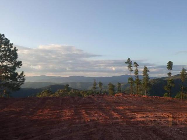 Vendo terreno espetacular localizado nas terras altas da Mantiqueira, em Delfim Moreira, na da área