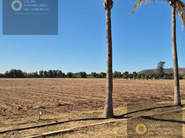 VENDO Terreno para urbanizar al Norte de Culiacán