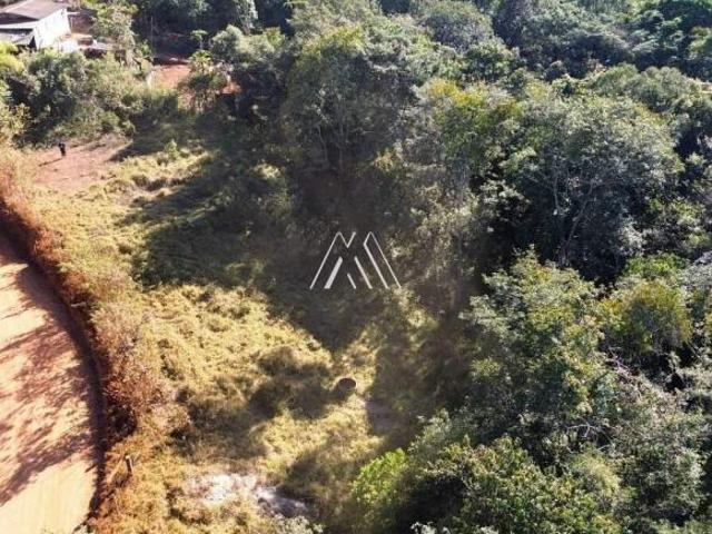 Vendo terreno rural de 6.000m² com água corrente e excelente localização!