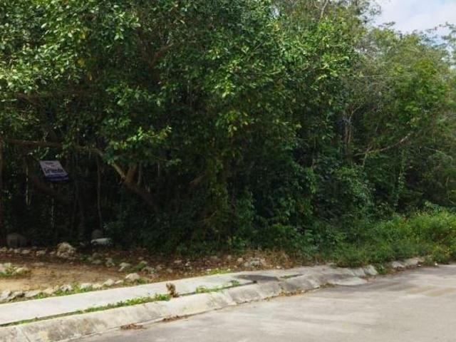 VENDO TERRENO RESIDENCIAL ARRECIFES A PASOS DE AV. UNIVERSIDADES, PLAYA DEL CARMEN, Q. ROO