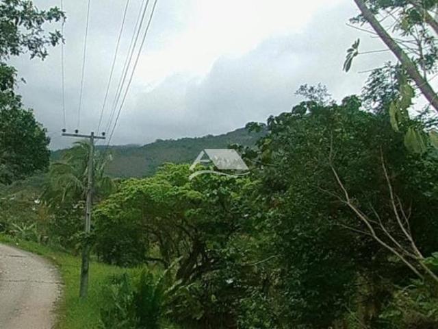 Vendo Terreno Siriuba, Ilhabela 2.909,25 m², vista, levantamento topográfico, Investimento Único
