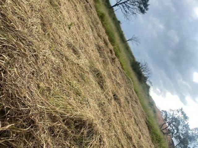 Vendo Terreno 1000m² em São Roque – Últimas Vagas