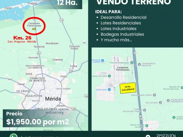 Vendo Terreno 12 Ha. sobre Carretera Progreso Merida