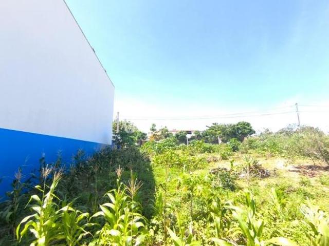Vendo terreno 250 m² no Residencial Parque da Fazenda Campinas/SP