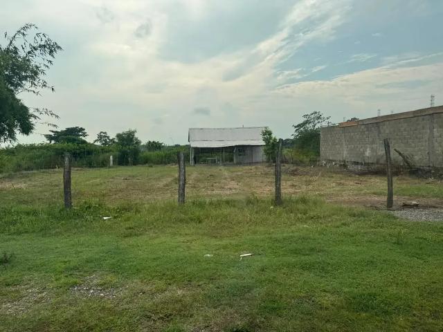 VENDO TERRENOS JUNTOS EN RUMBO A TAMSA