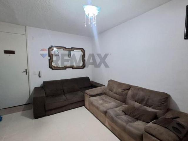 VENDO APARTAMENTO NO CONDOMINIO PINHEIROS PARANOA PARQUE