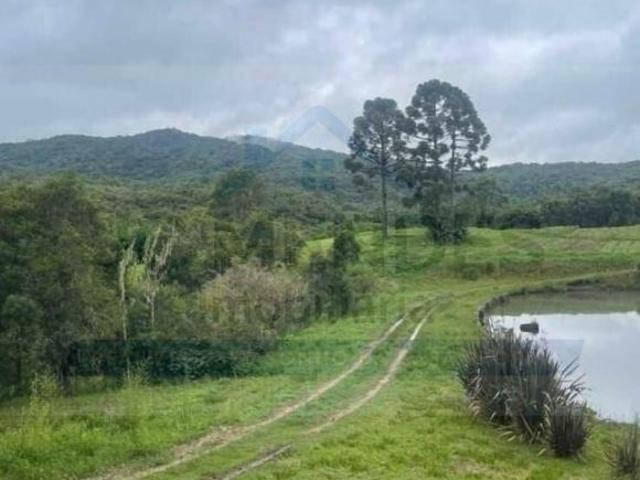 Vendo área com 50 alqueires — São José dos Pinhais/PR