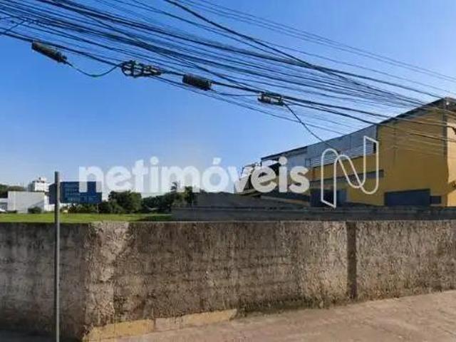 Vendo área de 2.330m2 no D. Clara. 5 LOTES LUNTOS