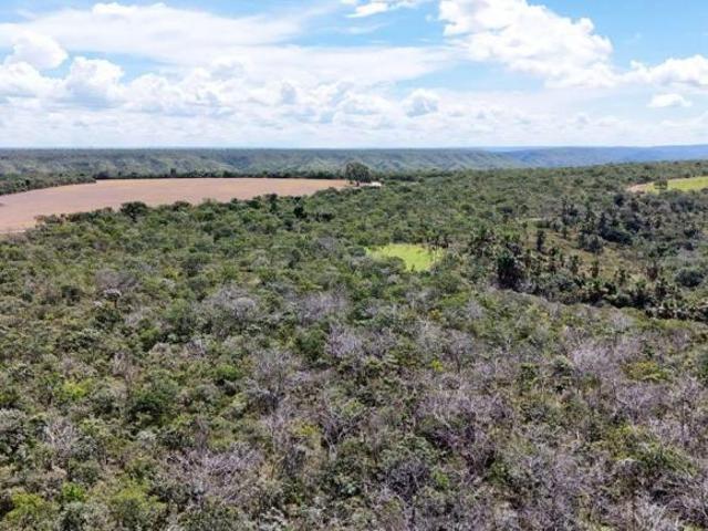 Vendo Barato 420 hectares, a 5 km do asfalto