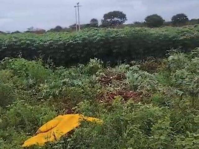 VENDO BELÍSSIMA TERRENO/FAZENDA ÓTIMO P/ PLANTAR MELANCIA ETC AC CARRO DOCUMENTOS 100% 6198150 8787