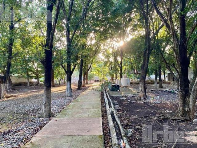VENDO BONITO TERRENO CON ALBERCA, TOTALMENTE BARDEADO, PALAPA, ÁRBOLES FRUTALES EN IMI III, CAMPECHE
