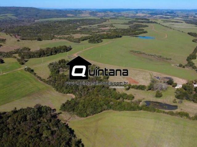 Vendo campo em Santana da Boa Vista nas margens da BR