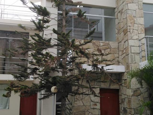VENDO CASA EN URB. SAN EDUARDO, PIURA