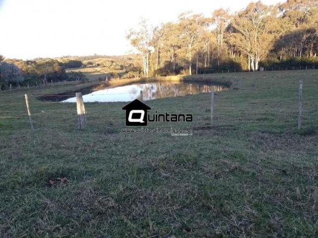 Vendo chácara na Capela da Buena de 2 hectares