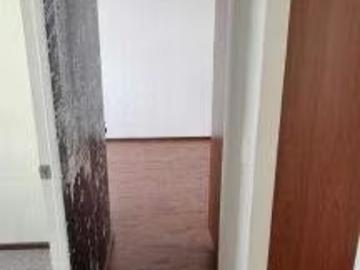 Vendo departamento chillan | 3 Dormitorios por 50000. 00 en Chillán