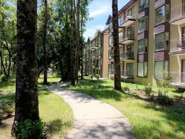 Vendo Departamento en Pucón, 1D con Estacionamiento conversable | 1 dormitorios por 95000. 00 en Pucón