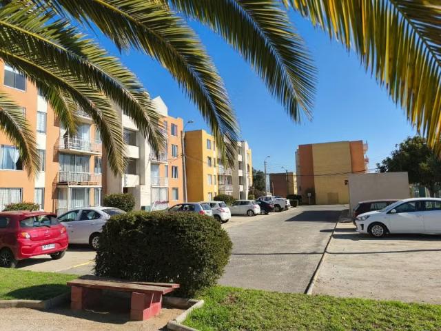 Vendo departamento en quilpue | 3 dormitorios por 80000. 00 en Olivar