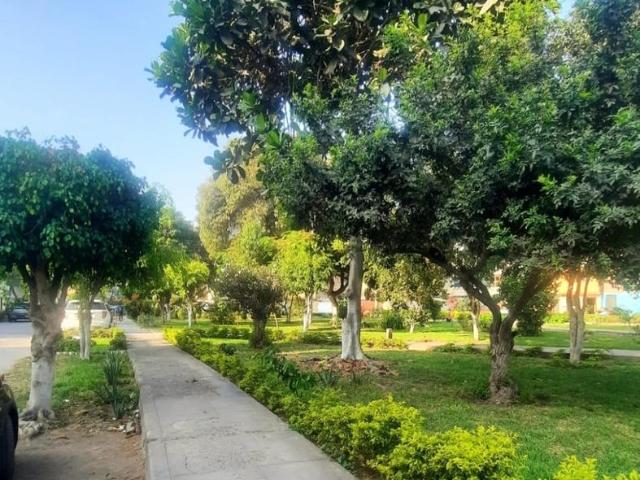 VENDO DEPARTAMENTO ESTRENO! PROYECTO FRENTE A PARQUE LAS COOPERATIVAS