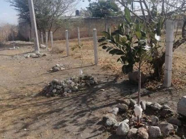 Vendo dos terrenos en esquina ejido san antonio en Temixco c