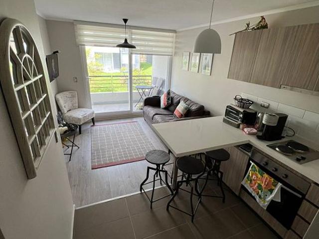 Vendo dpto en condominio robles del volcán–pucón