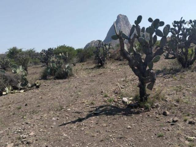 Vendo espectacular Terreno residencial con 1000 m2 sup. en Peña de Bernal, hermosa vista a la Peña