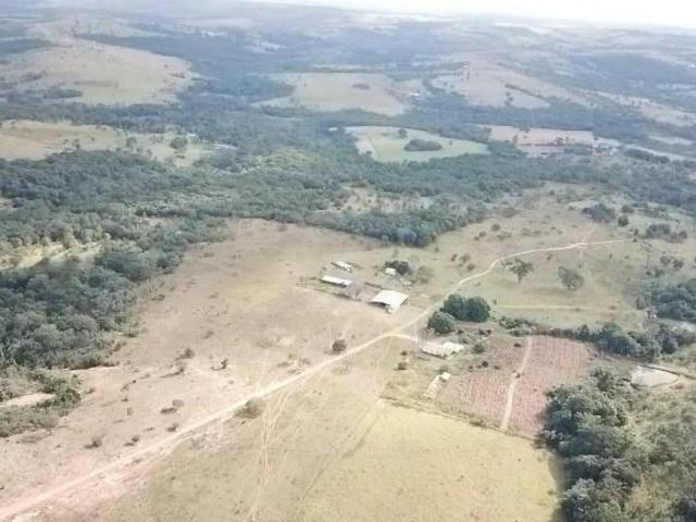 VENDO EXCELENTE FAZENDA DENTRO DO DF TODA FORMADA COM ESCRITURA! 98150 8787