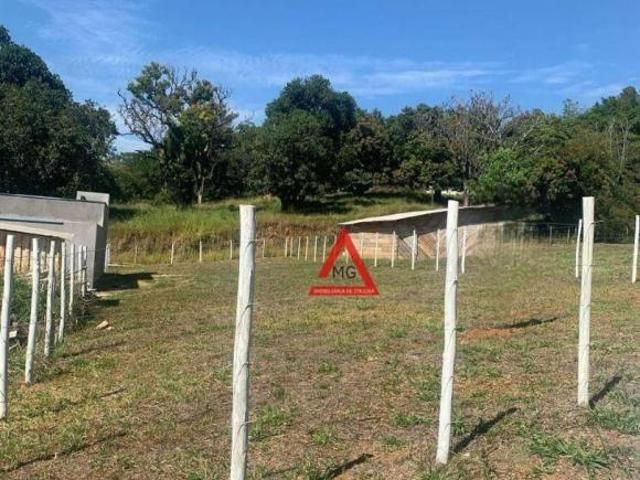 VENDO EXCELENTE LOTE NO PINHEIRINHO NA ENTRADA DO CONDOMÍNIO ARAUCÁRIA
