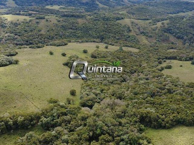 Vendo fazeenda de 83 hectares em Santana da Boa vista