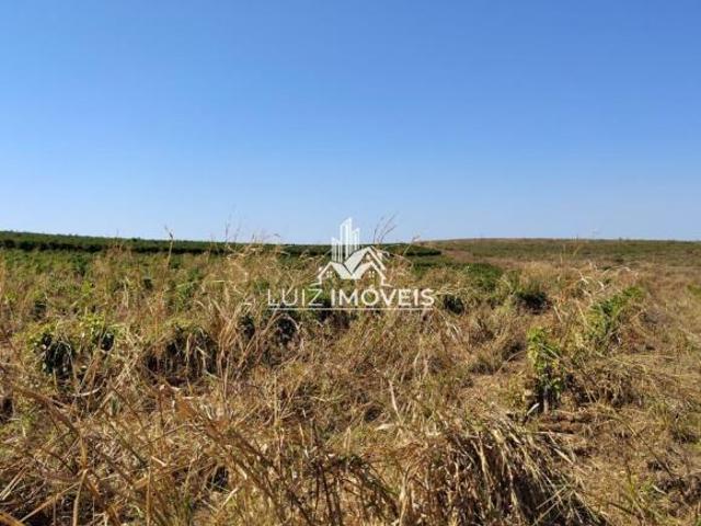 Vendo Fazenda Café 265 hectares Patos De Minas MG