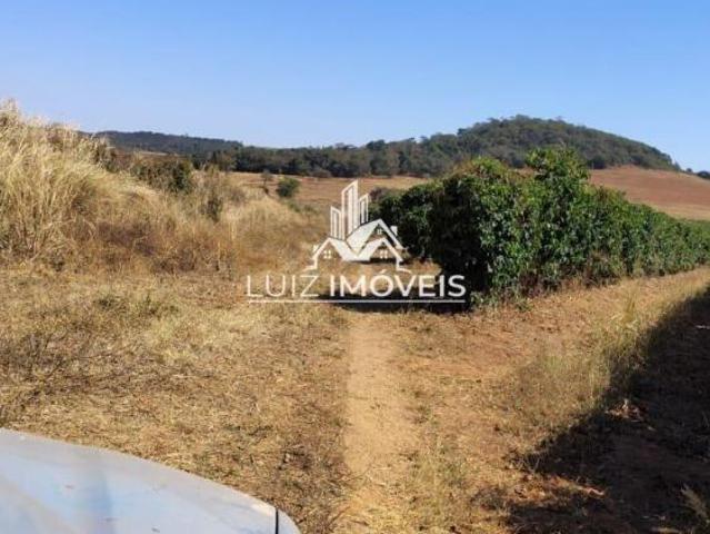 Vendo Fazenda Café 265 hectares Patos De Minas MG