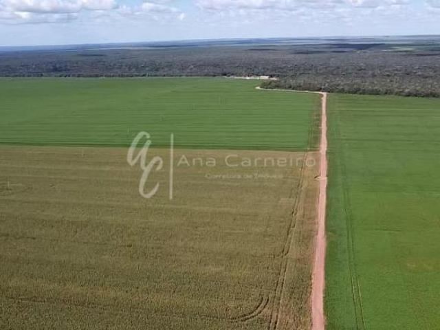 Vendo Fazenda Campo Novo dos Parecis MT