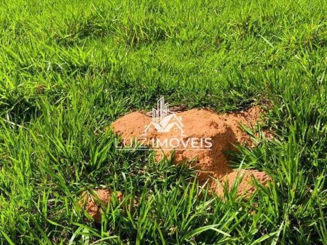 Vendo Fazenda Dupla Aptidão 247hectares Patos de Minas MG